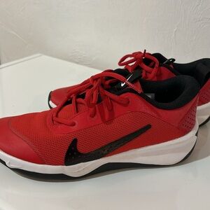 Nike Omni Multi Court